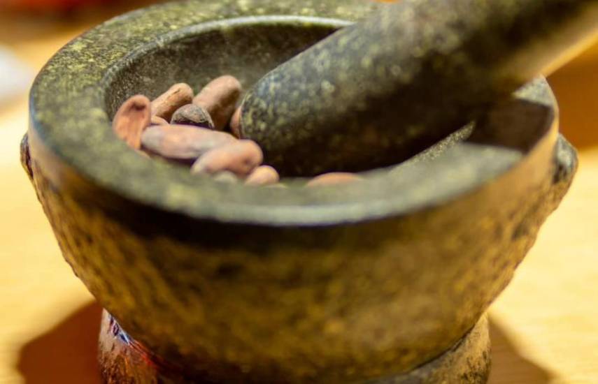 Expo rescata la historia del cacao bocatoreño