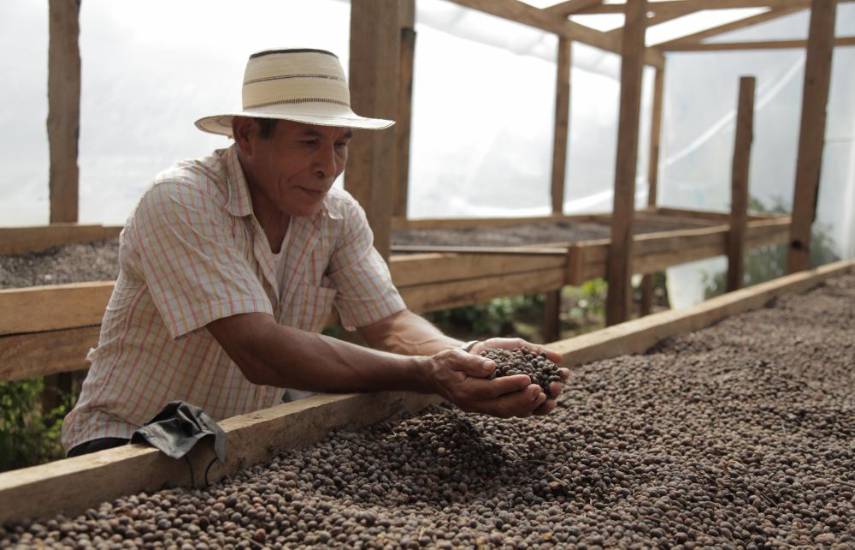 Productores abastecen de productos a la mina