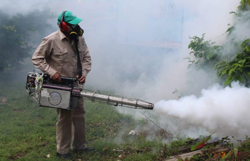 MINSA: 637 casos de dengue se registran en Panamá