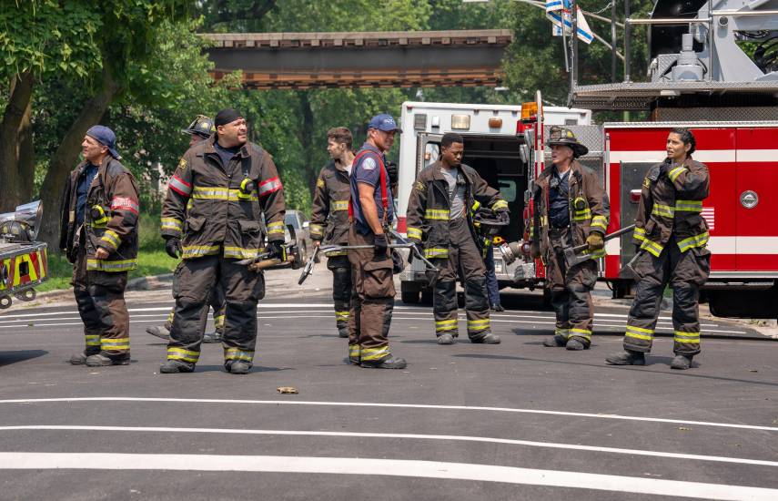 Una década con Stella