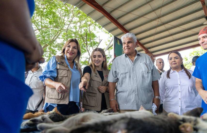 Mega jornada de esterilización en Coclé beneficia a 2,000 mascotas