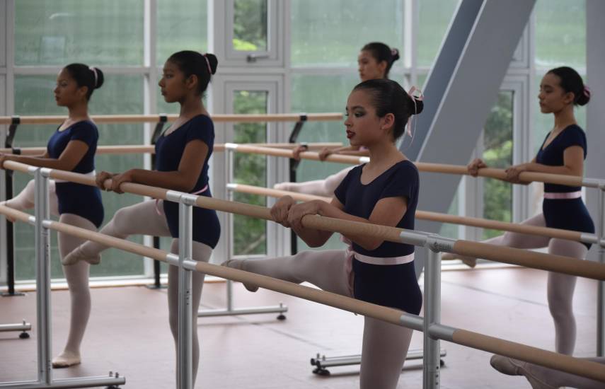 Harán un “maratón” para celebrar el Día de la Danza