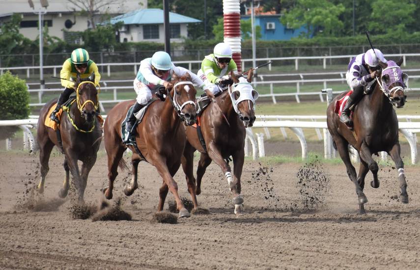 Acumulado supera los 34 mil dólares