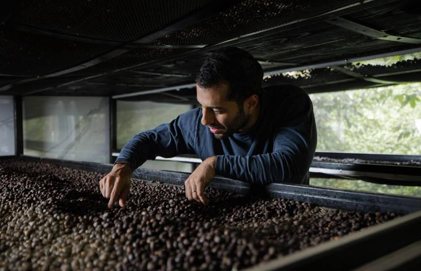 Café panameño supera los $3 millones en subasta mundial del Best of Panama