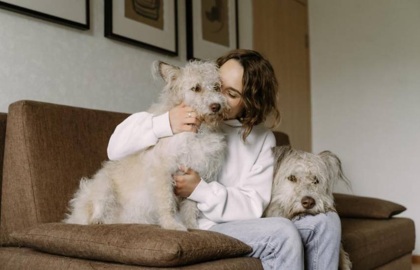 Los beneficios terapéuticos del vínculo de los humanos con los perros