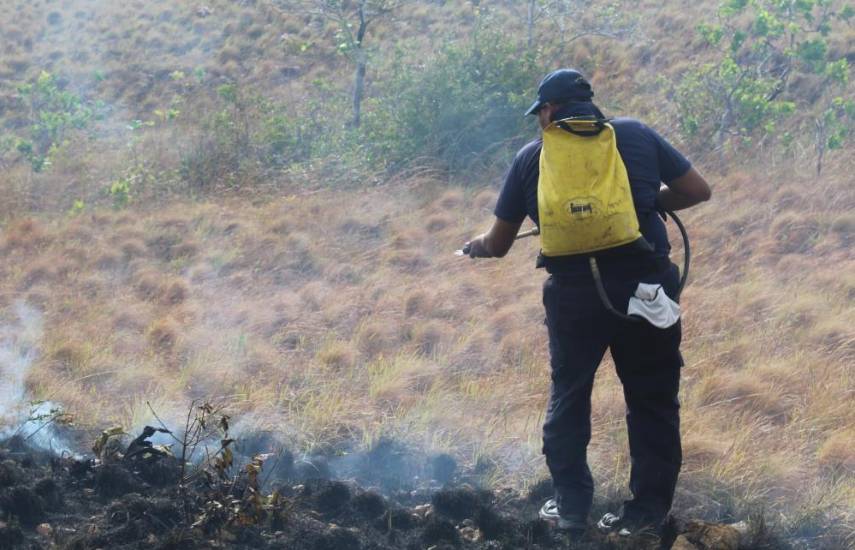 Coclé y Panamá Oeste, las provincias con más incendios forestales