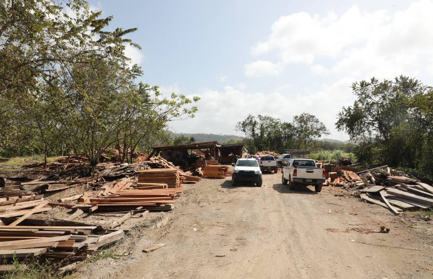 Suspenden operaciones en aserradero clandestino en Chepo