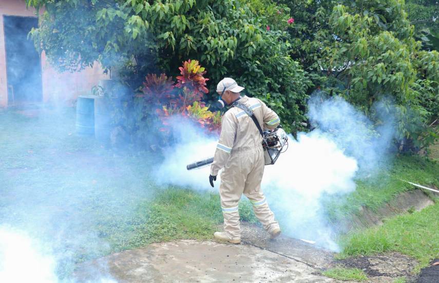 El Minsa refuerza operativos contra el dengue en Tocumen