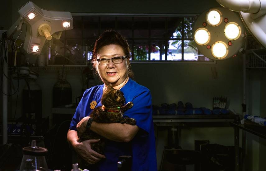 Los deberes y derechos de los dueños de mascotas