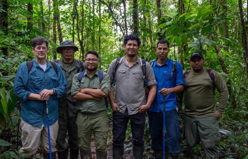 La rana dorada salta hacia la libertad