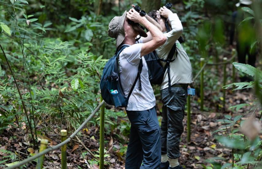 Conservación y restauración, claves para cuidar la biodiversidad