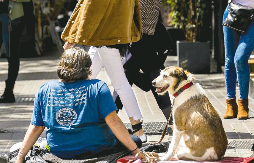Los deberes y derechos de los dueños de mascotas