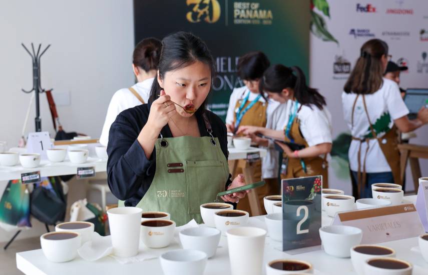 Cata Internacional del Best of Panamá reúne a jueces de 14 países para elegir los mejores cafés del país