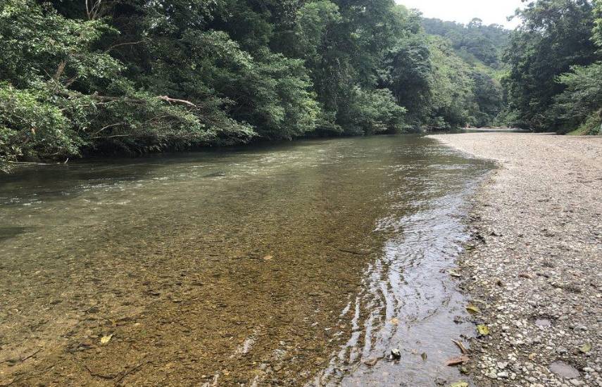 Bomberos alertan sobre riesgos mortales por clavados desde rocas y alturas