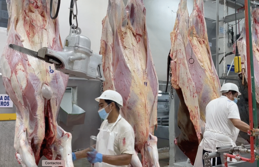 Conflicto comercial afecta exportaciones