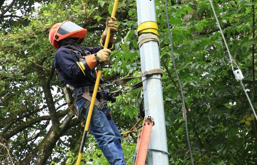 AVISO IMPORTANTE: Trabajos de mantenimiento en la red eléctrica del 29 de junio al 5 de julio de 2026