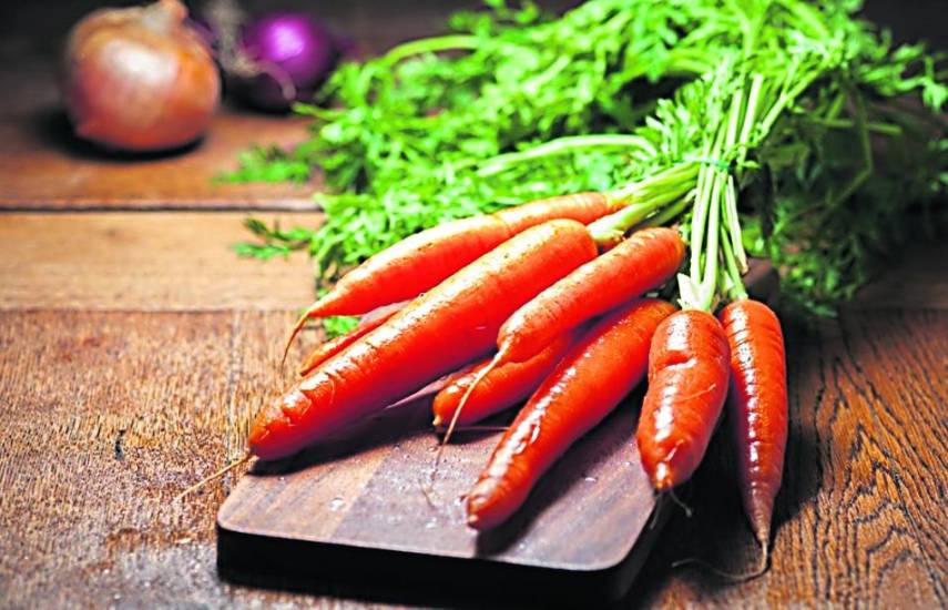 La producción local de zanahoria supera los 47 mil quintales al año