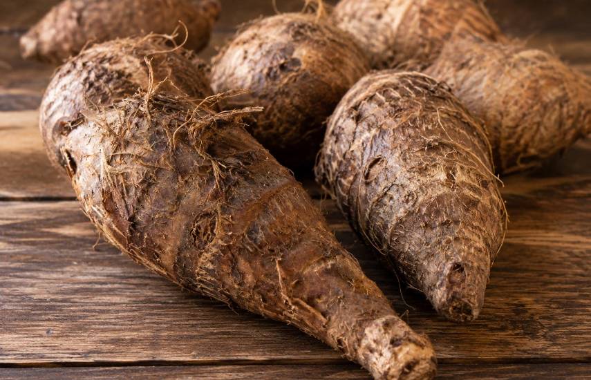 La producción de otoe supera los 140 mil quintales anuales