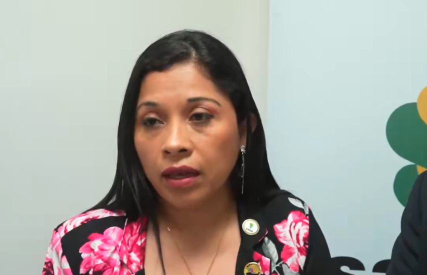 La “súper gripe” A (H3N2): síntomas, riesgos y medidas