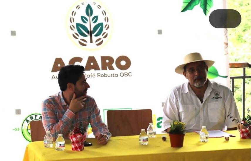 Cooperación regional en caficultura avanza con visita técnica en Capira