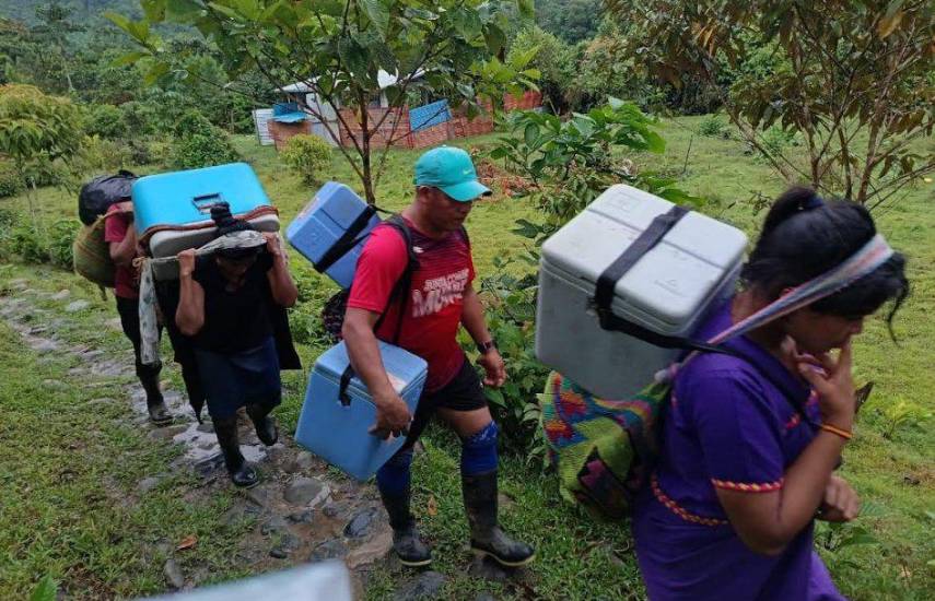 Minsa logra controlar brote de tosferina en la comarca Ngäbe-Buglé