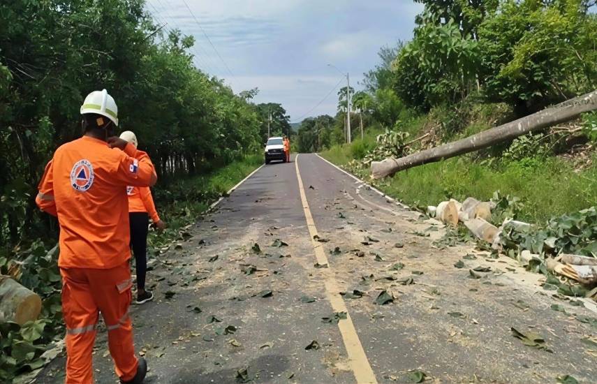 Lluvias dejan deslizamientos, árboles caídos y daños en viviendas en San Miguelito y otros sectores del país