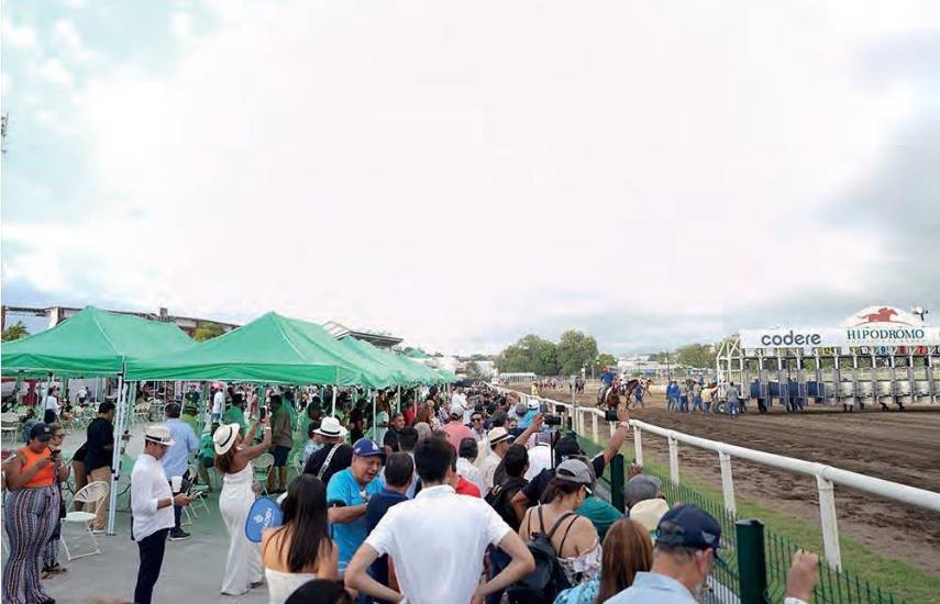 Parking Site, te encantará