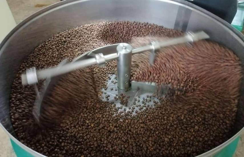 Prorrogan por seis meses medidas para la comercialización del café tostado en Panamá