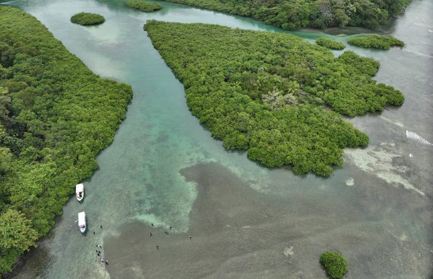 Panamá será sede mundial de la la Convención Mundial RAMSAR de conservación de humedales en 2028
