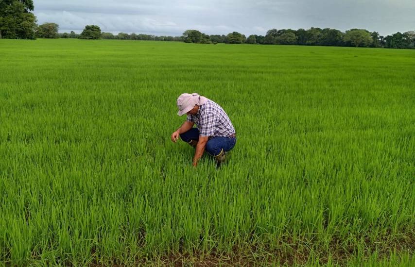 Agricultores reciben capacitación para el uso responsable de plaguicidas