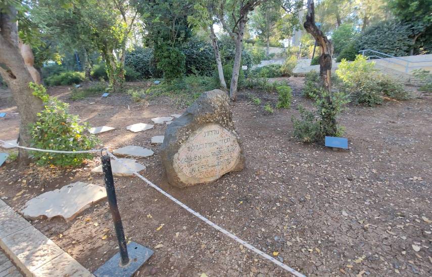 Memoria de piedra y dolor: Un viaje al corazón de Yad Vashem