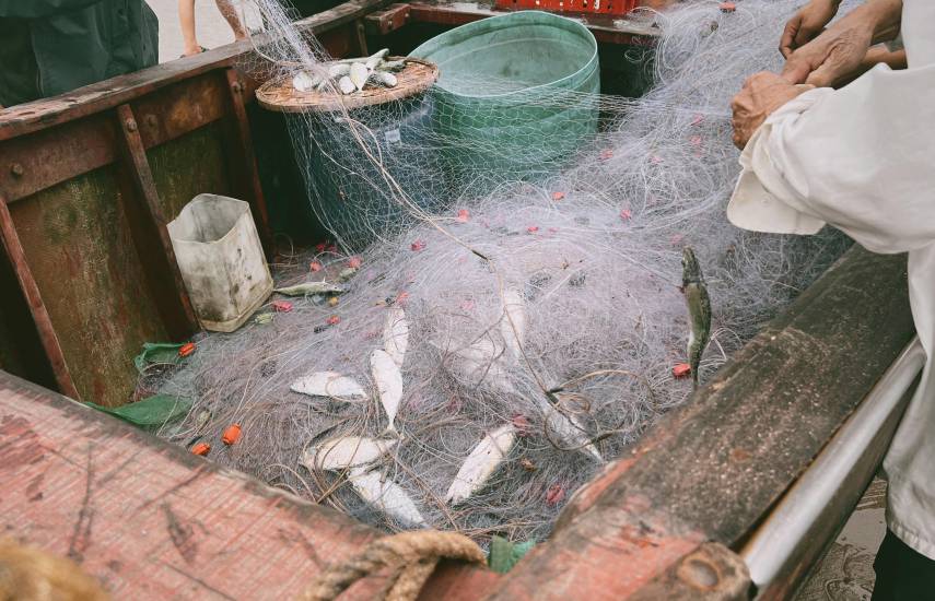 “El sector pesquero genera más de 170 mil empleos”