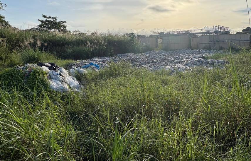 La UNPAC pide reforzar medidas ante presencia de aves en Tocumen