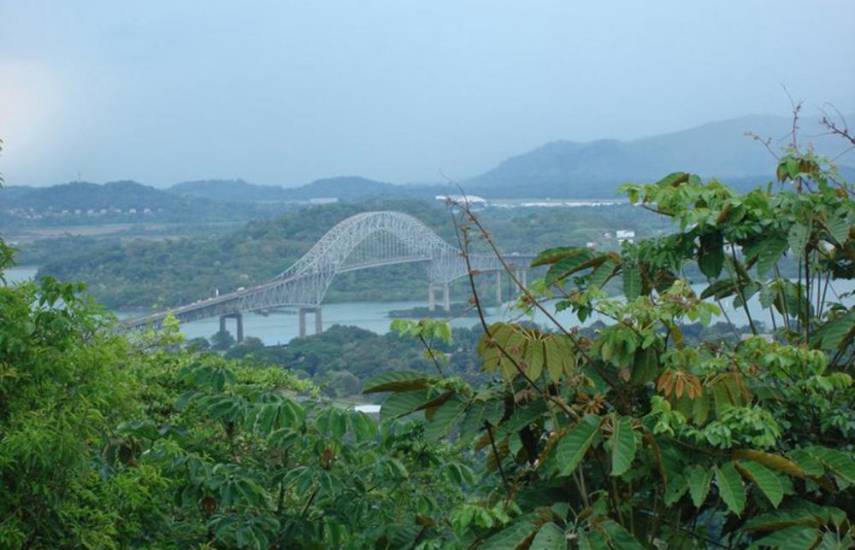 El triunfo de los grupos ambientales