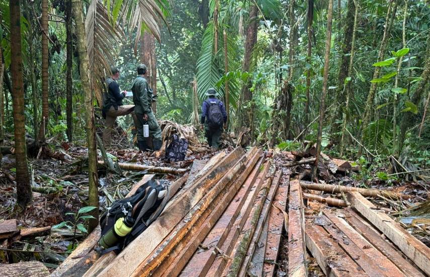 Detectan tala ilegal en Volcán Barú