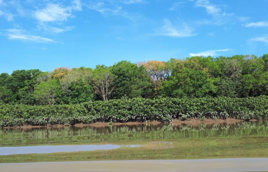 Panamá será sede mundial de la la Convención Mundial RAMSAR de conservación de humedales en 2028