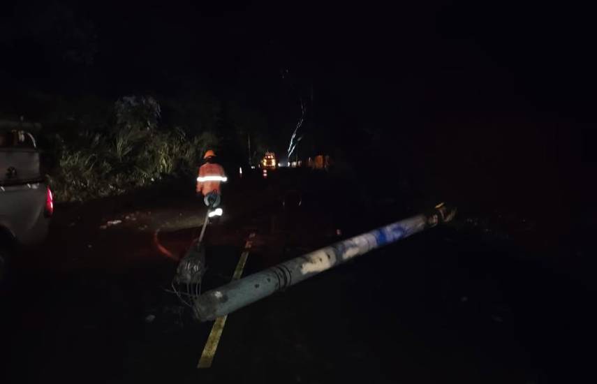 Fuertes lluvias y vientos causan caída de árboles y afectaciones eléctricas en Darién