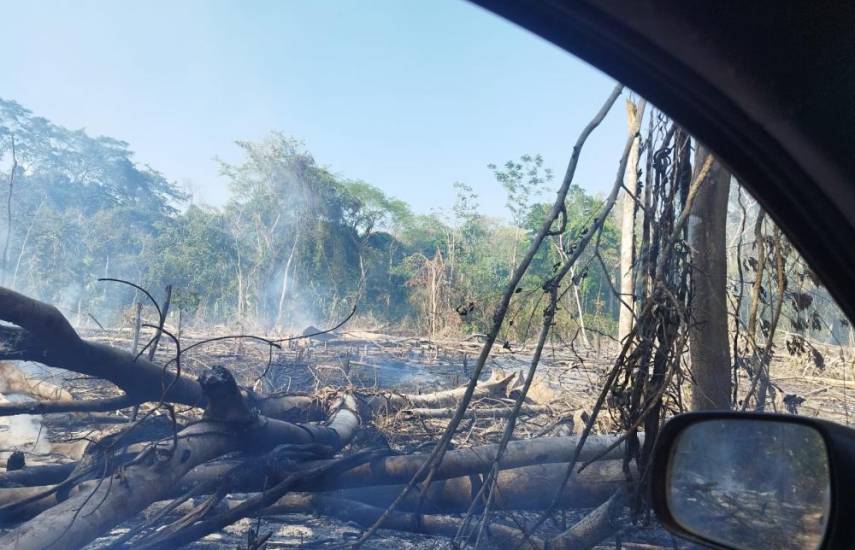 Ancón denuncia carreteras ilegales en la Reserva Natural de Punta Patiño