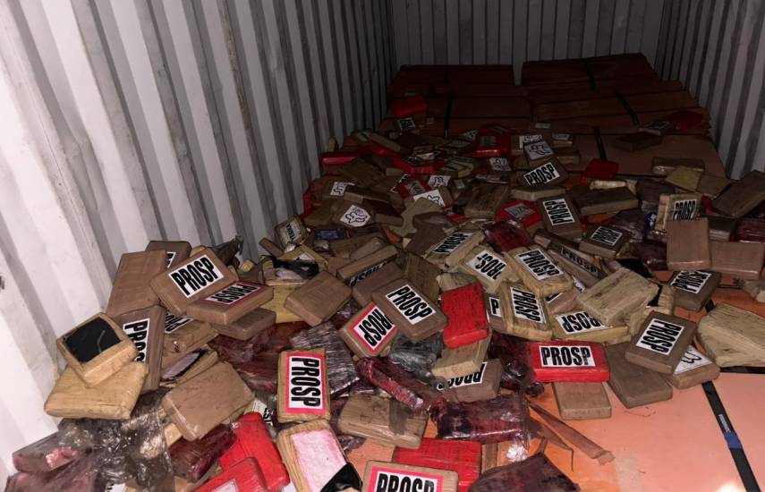 Duro golpe al narcotráfico: SENAN decomisa 330 paquetes en un contenedor con destino a Suecia