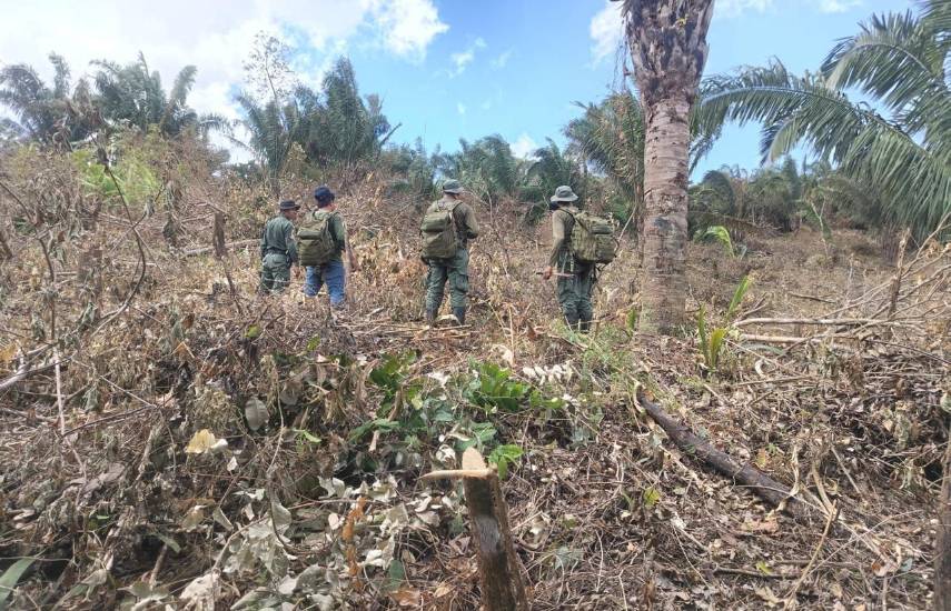 Cortesía | Personal de guardaparques inspeccionando.