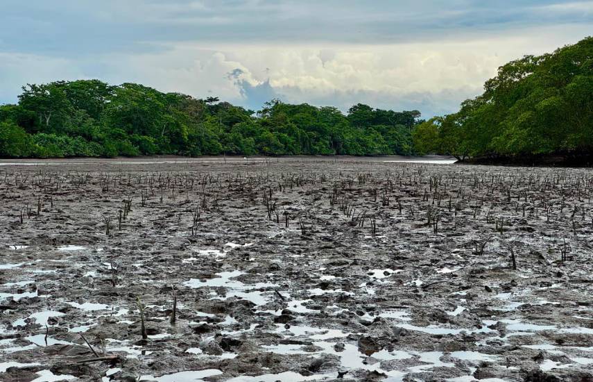 Analizan impacto del cambio climático y definen prioridades