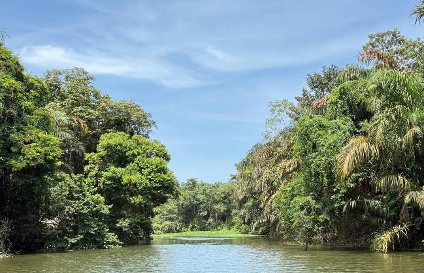 San San Pond Sak, la joya natural en Bocas