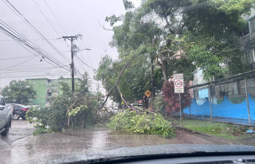 Lluvias de este domingo provocan inundaciones y caída de árboles en la capital