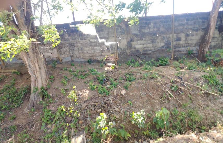 Trasladan juegos del equipo de Panamá Este por “inconvenientes técnicos” en el J.Thompson