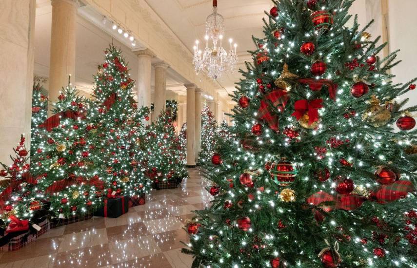 El simbolismo del árbol de Navidad