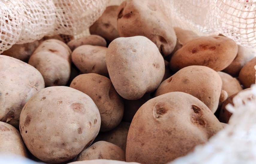 Precio de la papa sube por problemas climatológicos