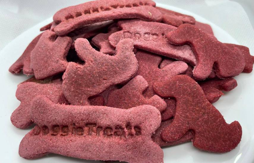 Snacks para mascotas, emprendimiento que promueve la alimentación saludable