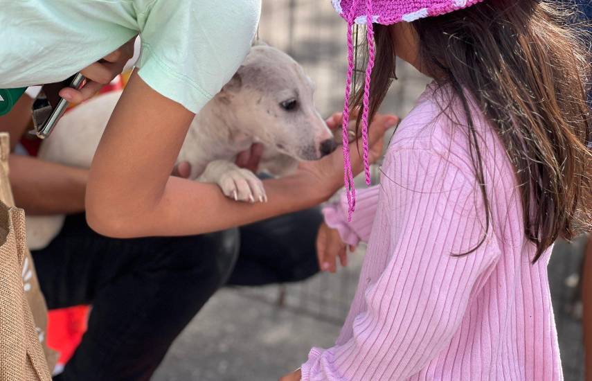 Hatillo abre sus puertas para la adopción de mascotas