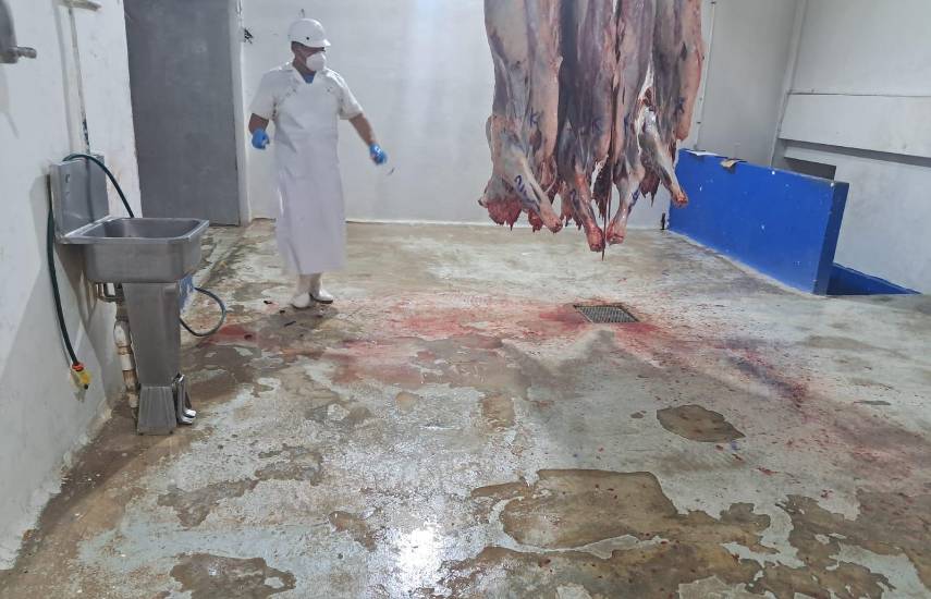 Autoridades ordenan cierre temporal de matadero de Colón por irregularidades sanitarias