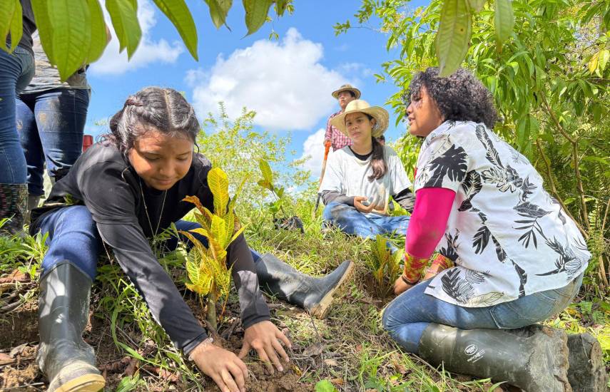 Los árboles que protegen las riberas de afluentes